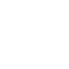 ADA Icon